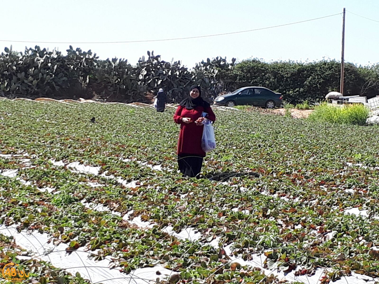 ab7bableaqsaa3 (27).jpg